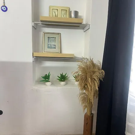 Apartment Authentic Detached House In Center *