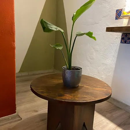 아파트 Authentic Detached House In Center